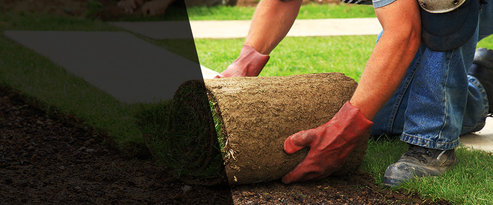 Fort Gay Landscapers